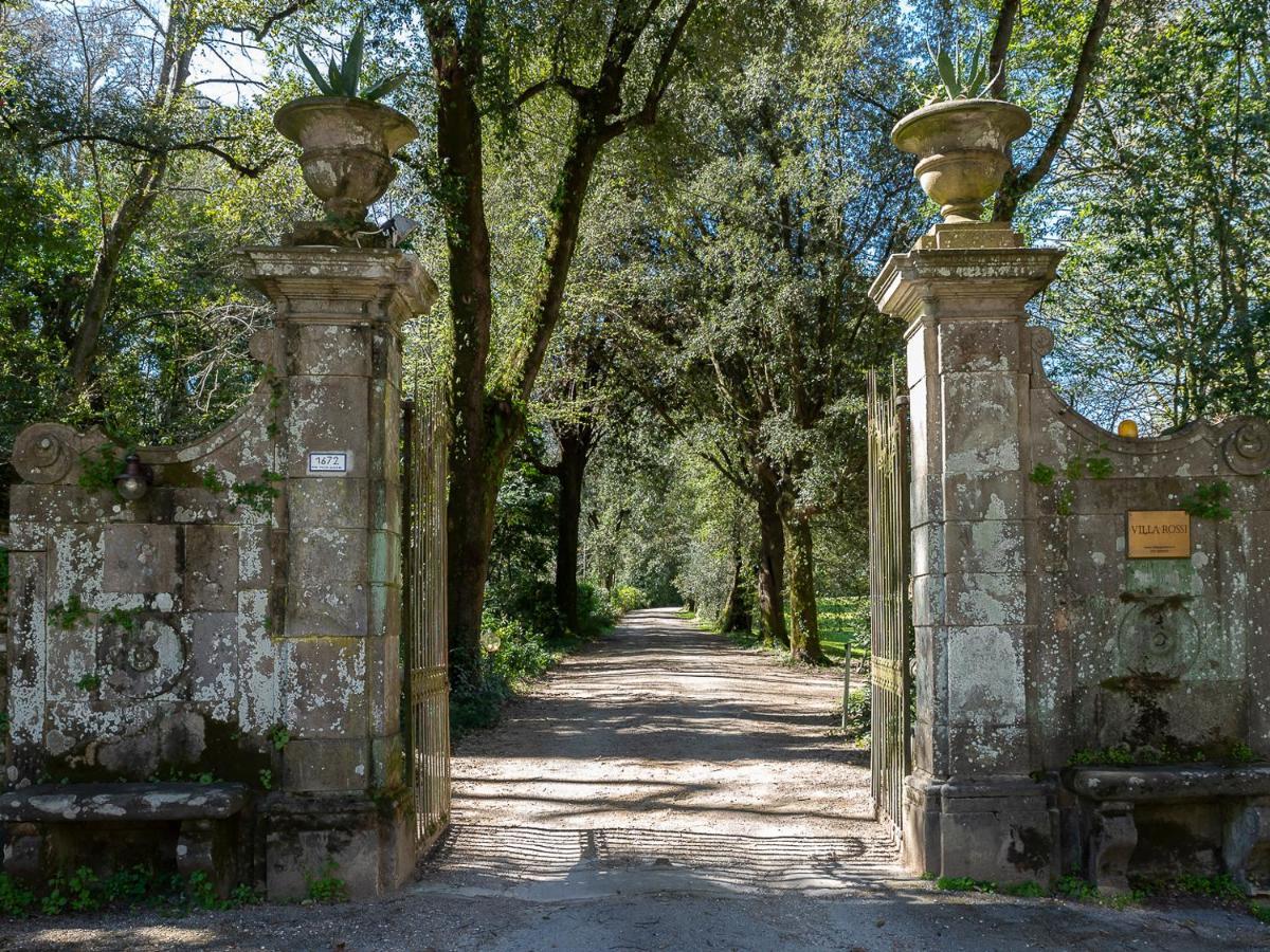 New! La Stanza In Villa Lucca Exterior photo